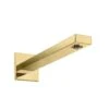 Hansgrohe Toebehoren - Douchearm 389 Mm, Gepolijst Goud 27694990 -Douche Uitrusting 14d78721e2af1bc11a0c50cd