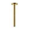 Hansgrohe Toebehoren - Plafondbevestiging S 300 Mm, Gepolijst Goud 27389990 -Douche Uitrusting 2bcaf1093916232dca736f82