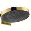 Hansgrohe Rainfinity - Hoofddouche 360 Met Douchearm, 1jet, Gepolijst Goud 26230990 -Douche Uitrusting 2da493f1d2a88807190e9dfb