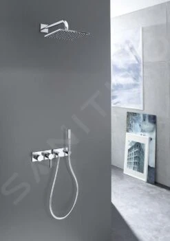 Hansa Viva - Hoofddouche 250, 1jet, Douchearm 400 Mm, Chroom 04180340 -Douche Uitrusting 3acf630536a92d5bd4a9095a