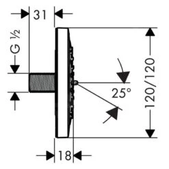 Hansgrohe PuraVida - Zijdouche 100 1jet, Chroom 28430000 -Douche Uitrusting 480938ef7c931b9dd87c67fd