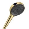 Hansgrohe Rainfinity - Handdouche 130, 3jet, Kleur Gouden Look 26864990 -Douche Uitrusting 75f18601cd0a8205dd1014f4