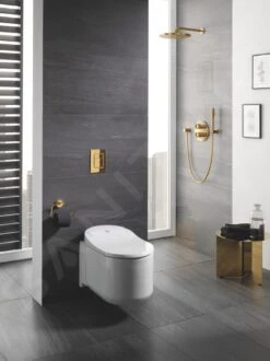 Grohe Rainshower Cosmopolitan - Hoofddouche Cosmopolitan 310 Met Douchearm, 1 Straalsoort, Cool Sunrise 26066GL0 -Douche Uitrusting 7c3dee12bdb1c8df30df633b