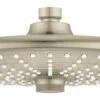 Grohe Euphoria SmartControl - Hoofddouche 260, 3 Straalsoort, Geborsteld Nikkel 26456EN0 -Douche Uitrusting 877105862908152e3fb24b2e