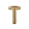 Hansgrohe Toebehoren - Plafondbevestiging S 100 Mm, Geborsteld Brons 27393140 -Douche Uitrusting 8e3af9d6b107a5b710cc4812