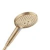 Hansgrohe Raindance Select S - Handdouche 120, 3jet, Geborsteld Brons 26530140 -Douche Uitrusting 988174385c81129e463dea35