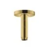 Hansgrohe Toebehoren - Plafondbevestiging S 100 Mm, Gepolijst Goud 27393990 -Douche Uitrusting aa6ed1cd48a5ba524c1bb856