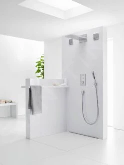 Hansgrohe Raindance - Hoofddouche Rainfall 180 Air 2jet, Chroom 28433000 -Douche Uitrusting c5d0aad0cee9fb35f8420df7