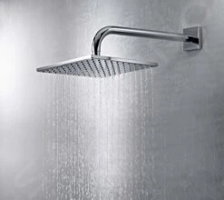Hansa Viva - Hoofddouche 250, 1jet, Douchearm 400 Mm, Chroom 04180340 -Douche Uitrusting d615cd59f4ba9a5c95ac12be