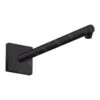 Axor Douche Programma - Douchearm, 390 Mm, Mat Zwart 26436670 -Douche Uitrusting d662e2290fb89921ca016973